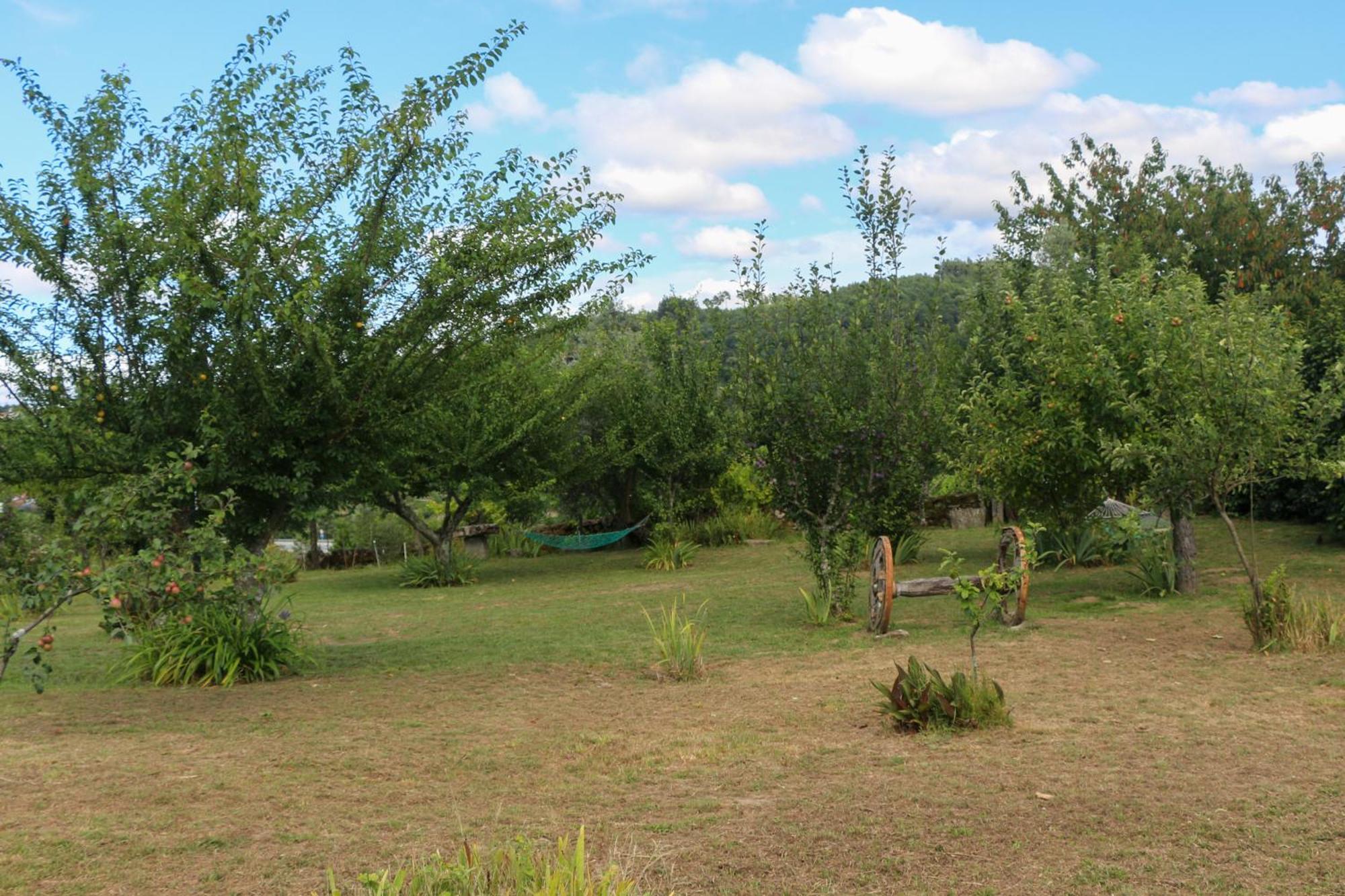 Casa Campo Das Bizarras Castro Daire Kültér fotó