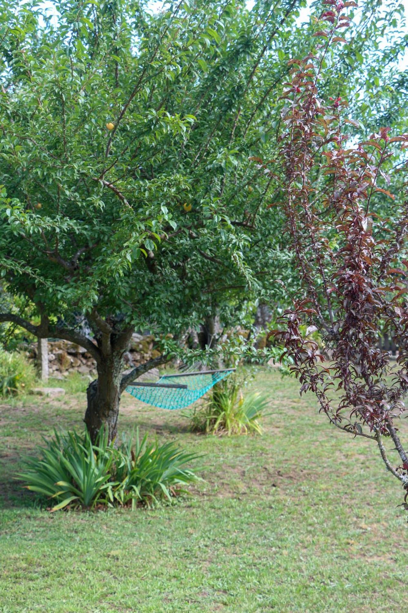 Casa Campo Das Bizarras Castro Daire Kültér fotó