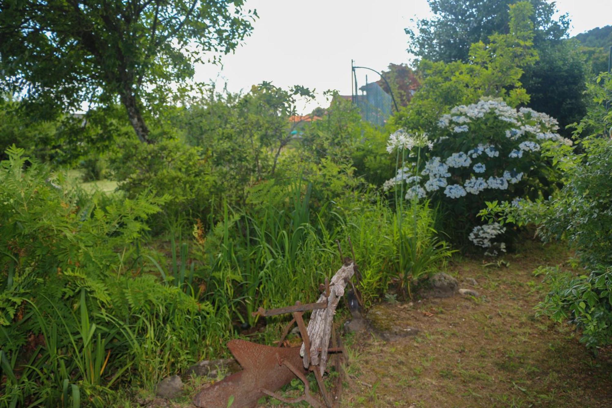 Casa Campo Das Bizarras Castro Daire Kültér fotó